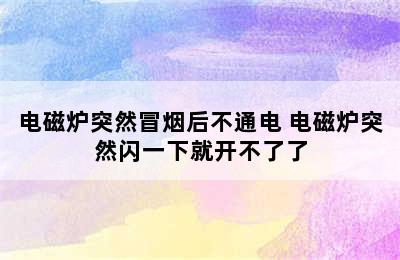 电磁炉突然冒烟后不通电 电磁炉突然闪一下就开不了了